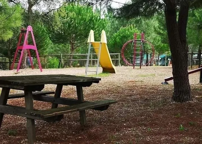 캠프장 Camping Aguas Claras *